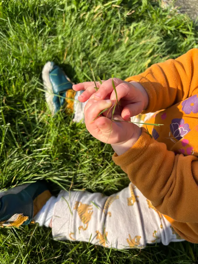 Diagnostic écologique aux Ceméa