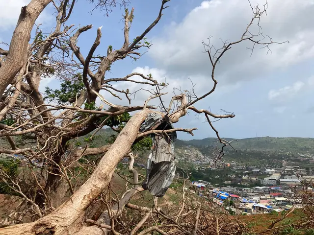 Madagascar–Mayotte : 30 enfants réunis pour un séjour interculturel post-cyclone