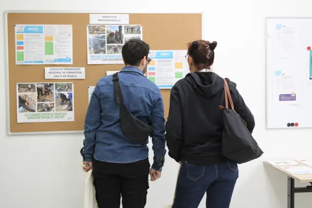 Education, Enseignement et Formation